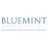 Bluemint Investment Advisors