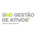 GNB Gestão de Ativos, Grupo Novo Banco