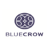 Bluecrow Capital