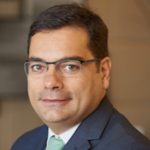 Ricardo Reis, Deloitte