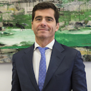Luca Sibani
