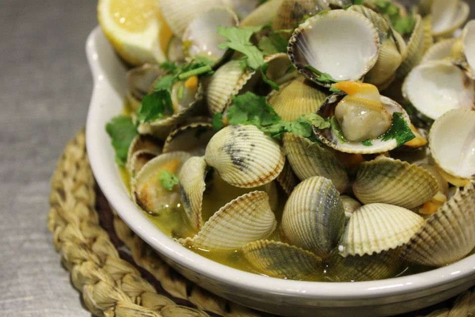 Bildergebnis für festival do berbigao portimao