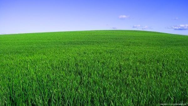 Green washing y greenium, dos términos que añadir al diccionario ISR